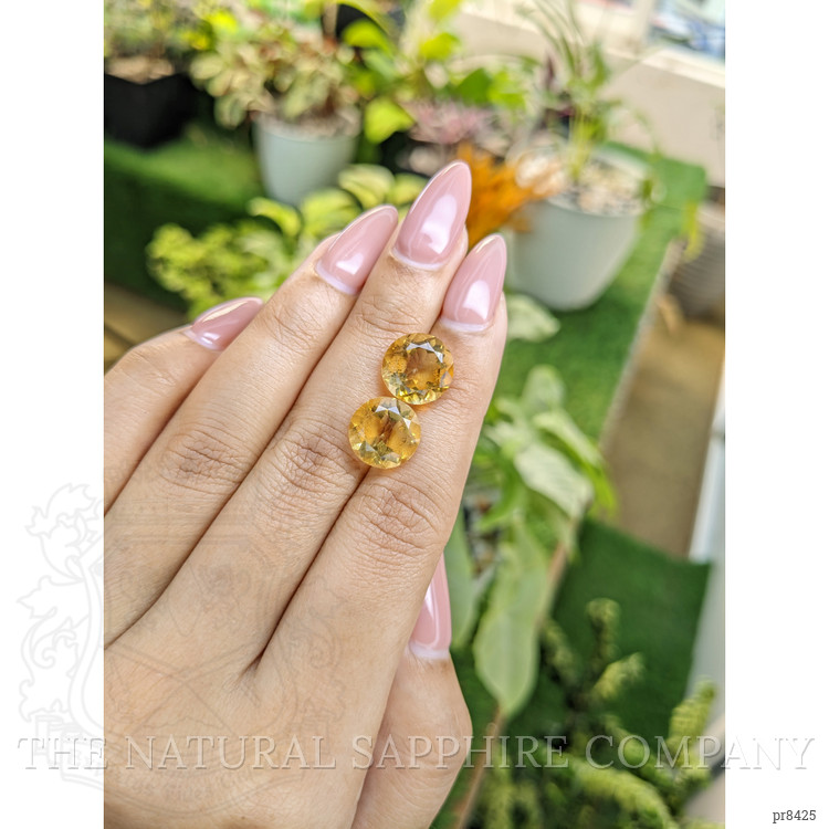 8.92 Ct.Tw. Citrine Pair from Ceylon (Sri Lanka)