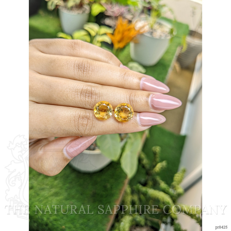 8.92 Ct.Tw. Citrine Pair from Ceylon (Sri Lanka)