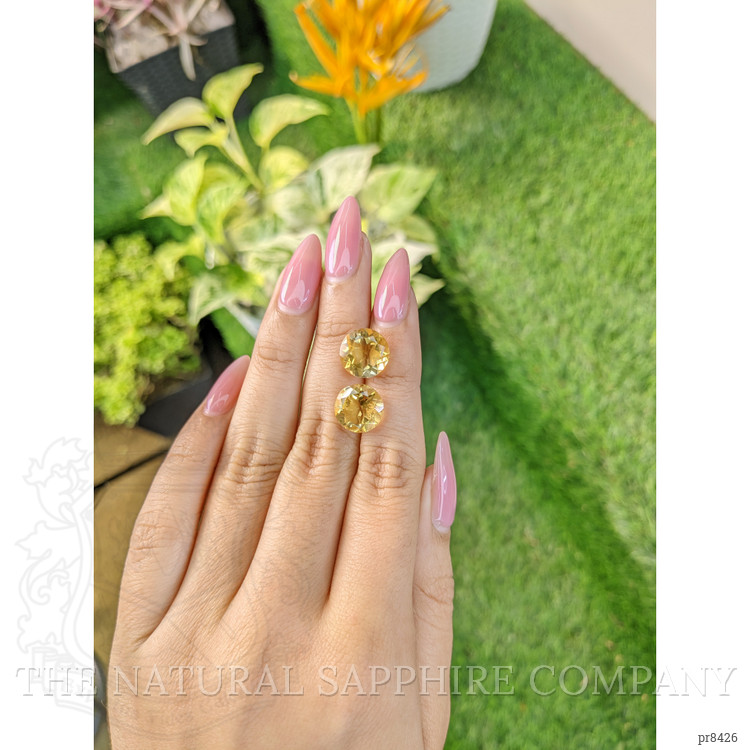 8.20 Ct.Tw. Citrine Pair from Ceylon (Sri Lanka)