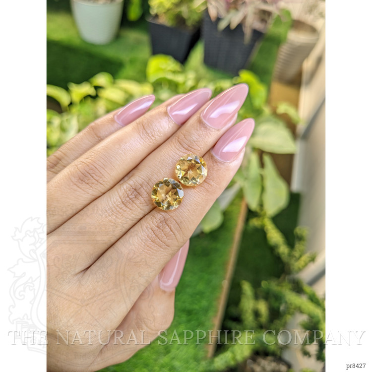 7.92 Ct.Tw. Citrine Pair from Ceylon (Sri Lanka)