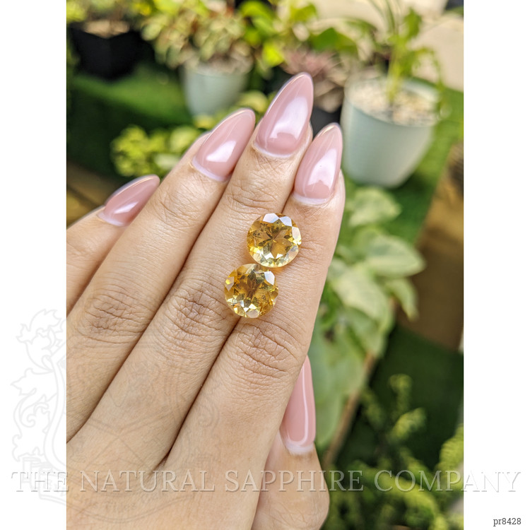 8.73 Ct.Tw. Citrine Pair from Ceylon (Sri Lanka)