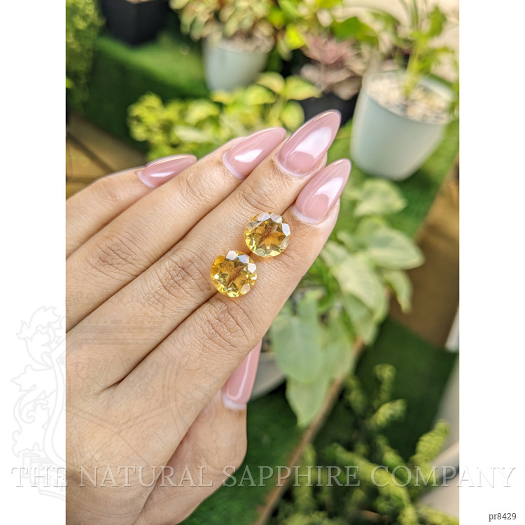8.38 Ct.Tw. Citrine Pair from Ceylon (Sri Lanka)