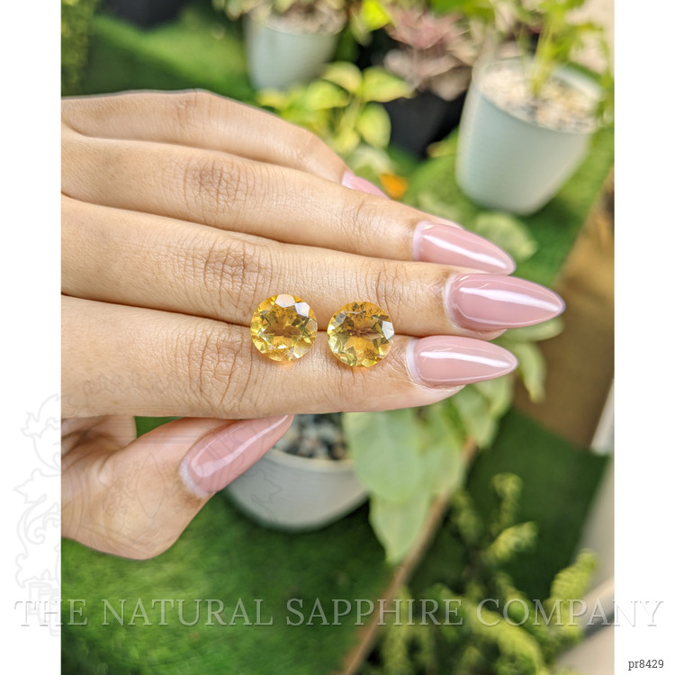8.38 Ct.Tw. Citrine Pair from Ceylon (Sri Lanka)