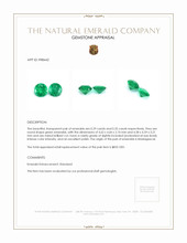 0.64 Ct.Tw.Total Carat Weight Emerald Pair from Madagascar Appraisal