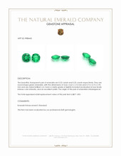 0.67 Ct.Tw.Total Carat Weight Emerald Pair from Madagascar Appraisal
