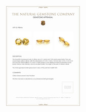 13.69 Ct.Tw.Total Carat Weight Citrine Pair from Brazil Appraisal