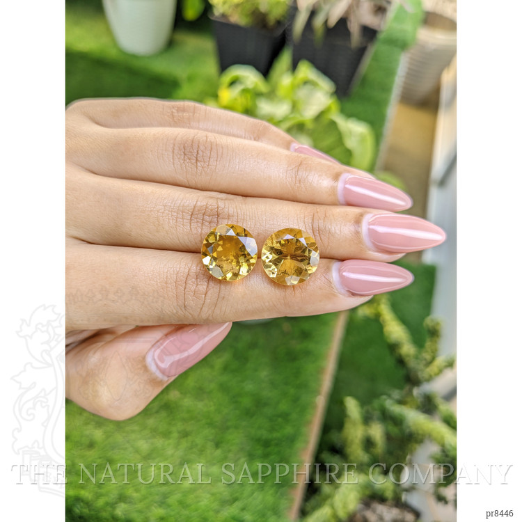 13.69 Ct.Tw. Citrine Pair from Brazil