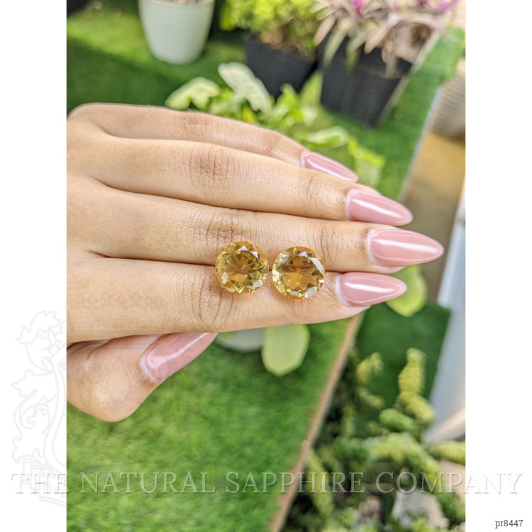 13.85 Ct.Tw. Citrine Pair from Brazil