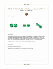 0.94 Ct.Tw.Total Carat Weight Emerald Pair from Zambia Appraisal