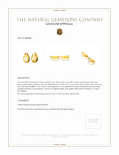 7.87 Ct.Tw.Total Carat Weight Citrine Pair from Ceylon (Sri Lanka) Appraisal