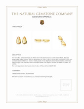 8.63 Ct.Tw.Total Carat Weight Citrine Pair from Ceylon (Sri Lanka) Appraisal