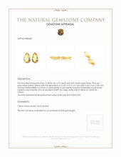 8.52 Ct.Tw.Total Carat Weight Citrine Pair from Ceylon (Sri Lanka) Appraisal