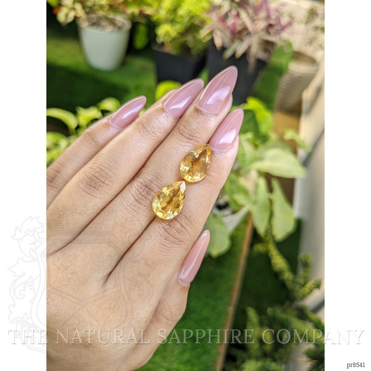 9.02 Ct.Tw. Citrine Pair from Ceylon (Sri Lanka)