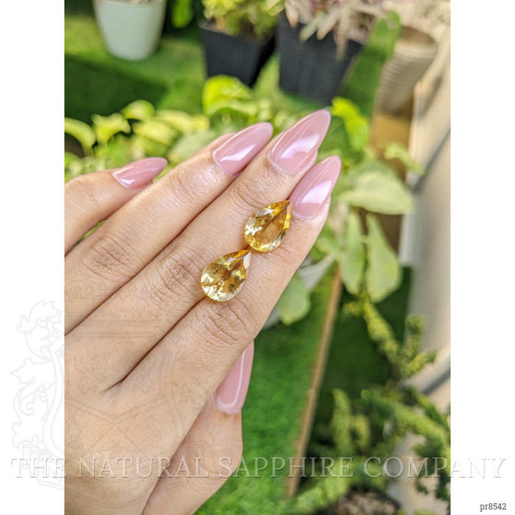 8.32 Ct.Tw. Citrine Pair from Ceylon (Sri Lanka)