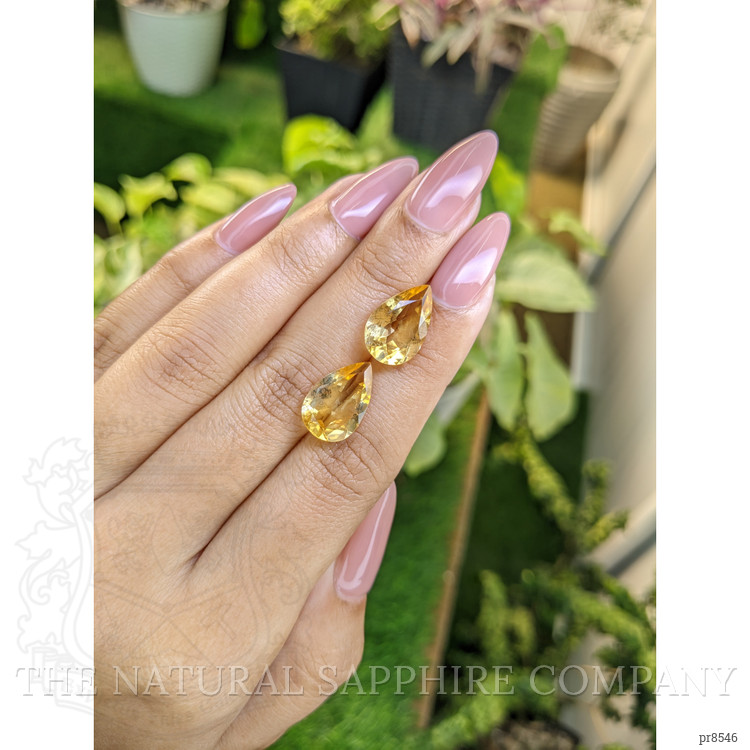 9.14 Ct.Tw. Citrine Pair from Ceylon (Sri Lanka)