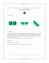 8.79 Ct.Tw.Total Carat Weight Emerald Pair from Colombia Appraisal