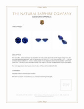 1.87&nbsp;Ct.Tw.Total Carat Weight Blue Sapphire Pair from Ceylon (Sri Lanka) Appraisal