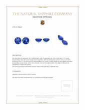 6.19 Ct.Tw.Total Carat Weight Blue Sapphire Pair from Ceylon (Sri Lanka) Appraisal