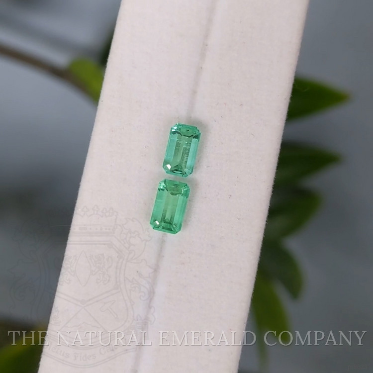 1.43 Ct.Tw. Emerald Pair from Russia