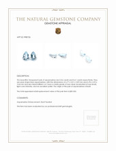 1.17&nbsp;Ct.Tw.Total Carat Weight Aquamarine Pair from Brazil Appraisal