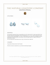 1.17 Ct.Tw.Total Carat Weight Aquamarine Pair from Brazil Appraisal