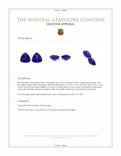 24.64 Ct.Tw.Total Carat Weight Violet Tanzanite Pair from Tanzania Appraisal