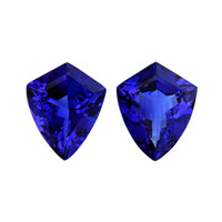 26.48 Ct.Tw.Total Carat Weight Tanzanite Pair from Tanzania Video