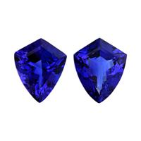 26.48 Ct.Tw.Total Carat Weight Tanzanite Pair from Tanzania Video