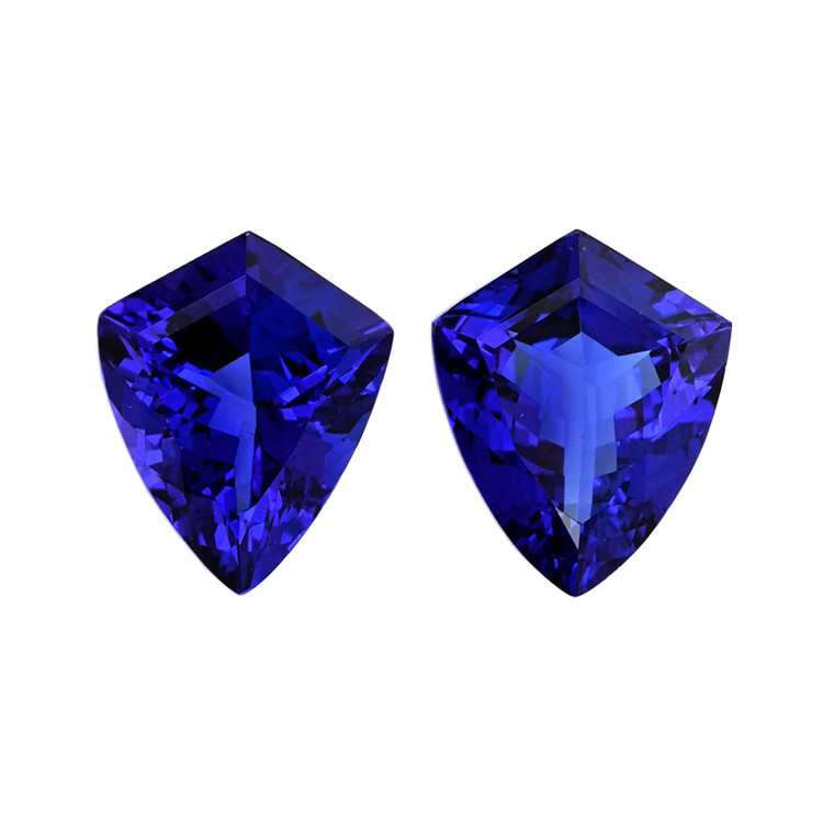 26.48 Ct.Tw. Tanzanite Pair from Tanzania