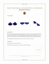 25.04 Ct.Tw.Total Carat Weight Violet Tanzanite Pair from Tanzania Appraisal