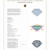 25.04&nbsp;Ct.Tw.Total Carat Weight Tanzanite Pair from Tanzania 3 D Scan Report