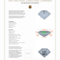 25.04&nbsp;Ct.Tw.Total Carat Weight Tanzanite Pair from Tanzania 3 D Scan Report