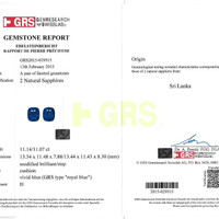 22.16&nbsp;Ct.Tw.Total Carat Weight Blue Sapphire Pair from Ceylon (Sri Lanka) Scan Report