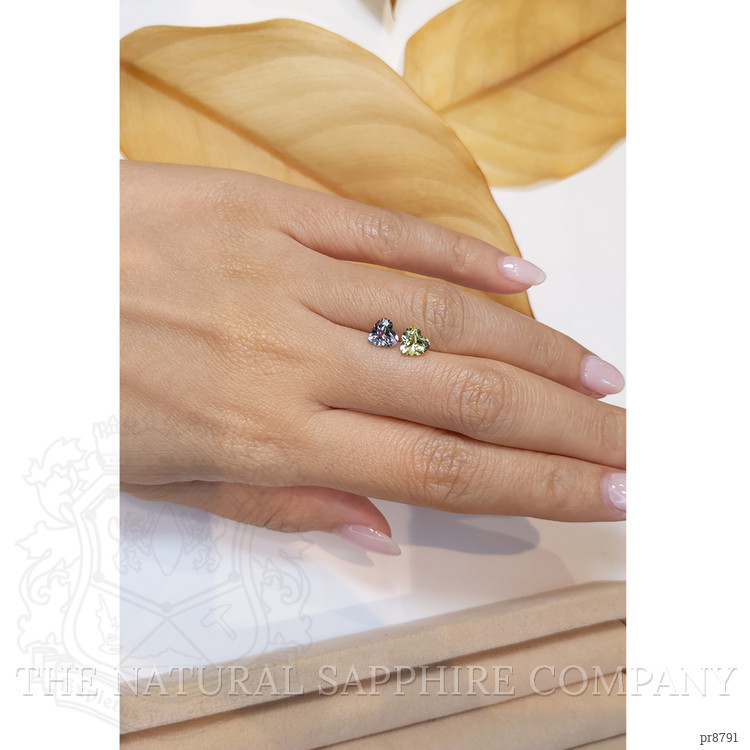 1.69 Ct.Tw. Tanzanite Pair from Tanzania