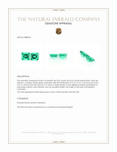 1.30 Ct.Tw.Total Carat Weight Emerald Pair from Colombia Appraisal