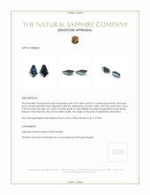 1.17 Ct.Tw.Total Carat Weight Greenish Blue Sapphire Pair from Montana Appraisal