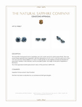 0.91 Ct.Tw.Total Carat Weight Greenish Blue Sapphire Pair from Montana Appraisal