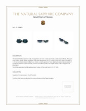 1.26 Ct.Tw.Total Carat Weight Sapphire Pair from Montana Appraisal