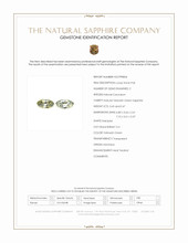 Jewelry Scan Report