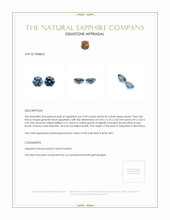 1.00 Ct.Tw.Total Carat Weight Sapphire Pair from Montana Appraisal