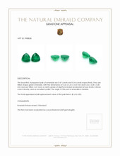 1.01 Ct.Tw.Total Carat Weight Emerald Pair from Zambia Appraisal