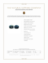 Jewelry Scan Report