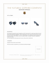 1.01&nbsp;Ct.Tw.Total Carat Weight Greyish Blue Sapphire Pair from Ceylon (Sri Lanka) Appraisal