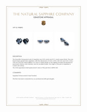 1.01 Ct.Tw.Total Carat Weight Greyish Blue Sapphire Pair from Ceylon (Sri Lanka) Appraisal