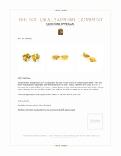 1.06&nbsp;Ct.Tw.Total Carat Weight Yellow Sapphire Pair from Ceylon (Sri Lanka) Appraisal