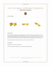 1.06 Ct.Tw.Total Carat Weight Yellow Sapphire Pair from Ceylon (Sri Lanka) Appraisal