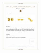 1.02&nbsp;Ct.Tw.Total Carat Weight Yellow Sapphire Pair from Ceylon (Sri Lanka) Appraisal