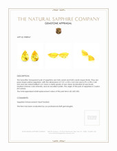 1.67 Ct.Tw.Total Carat Weight Yellow Sapphire Pair from Ceylon (Sri Lanka) Appraisal