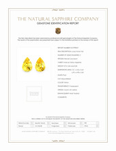 1.67&nbsp;Ct.Tw.Total Carat Weight Yellow Sapphire Pair from Ceylon (Sri Lanka) Scan Report