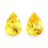 1.67&nbsp;Ct.Tw.Total Carat Weight Yellow Sapphire Pair from Ceylon (Sri Lanka) Video